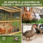 7750106 7750106-05 7750113 7750113-05