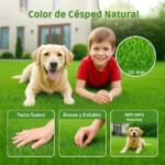 cesped 20mm 1m2m